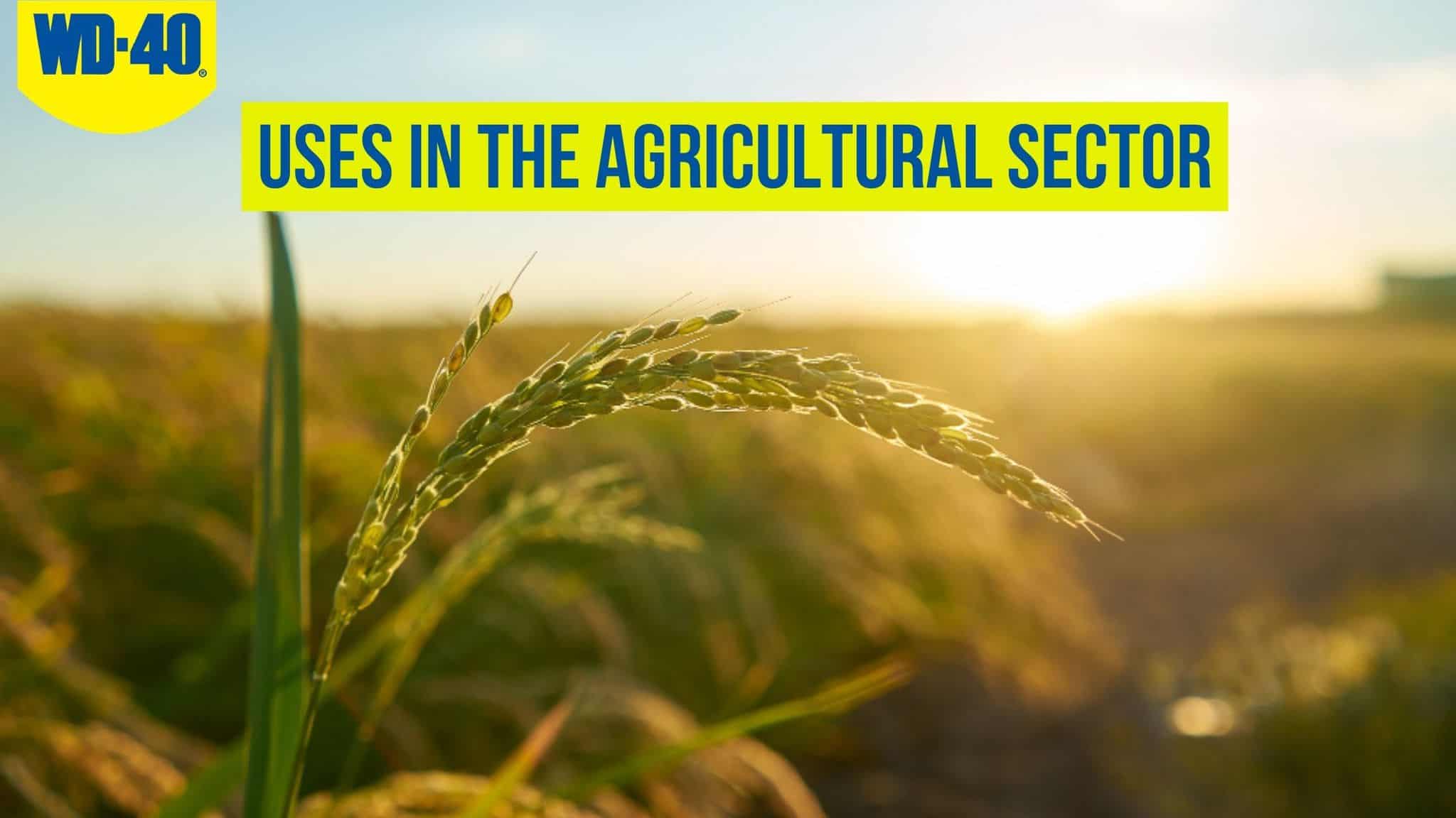 WD-40-uses-in-agriculture-featured-image
