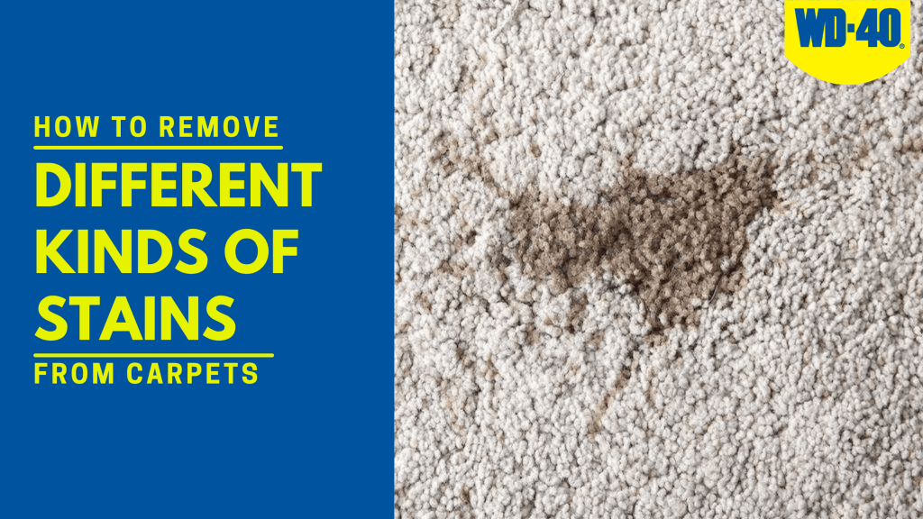 How to Remove Different Kinds of Stains from Carpet? WD40 Pakistan