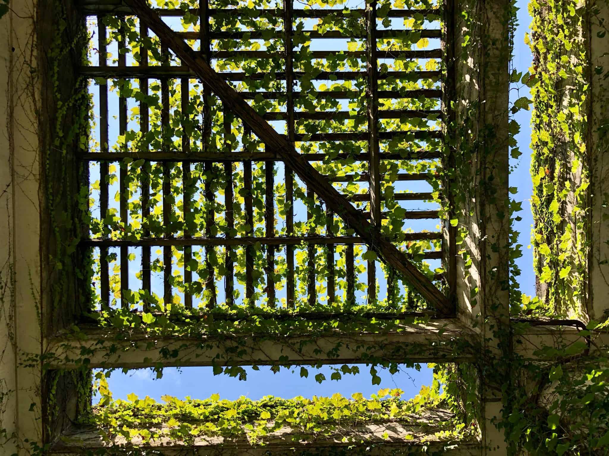 Rusty metal garden gate